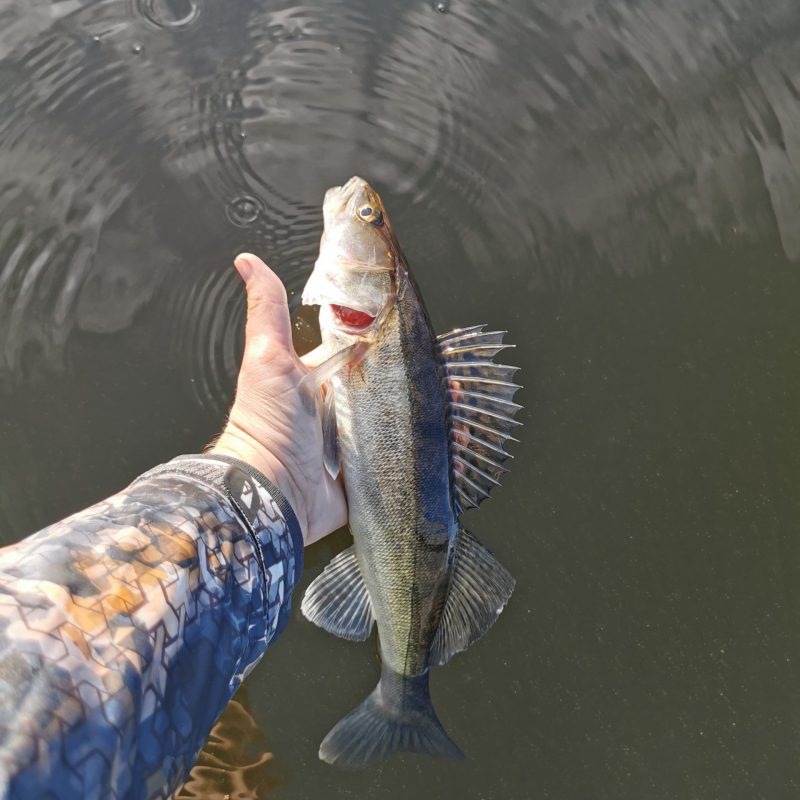 WhatsApp Image 2024-11-21 at 15.07.16