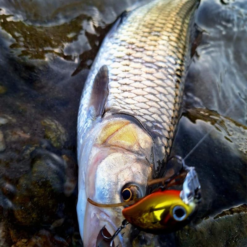 WhatsApp Image 2024-11-21 at 15.07.18 (1)