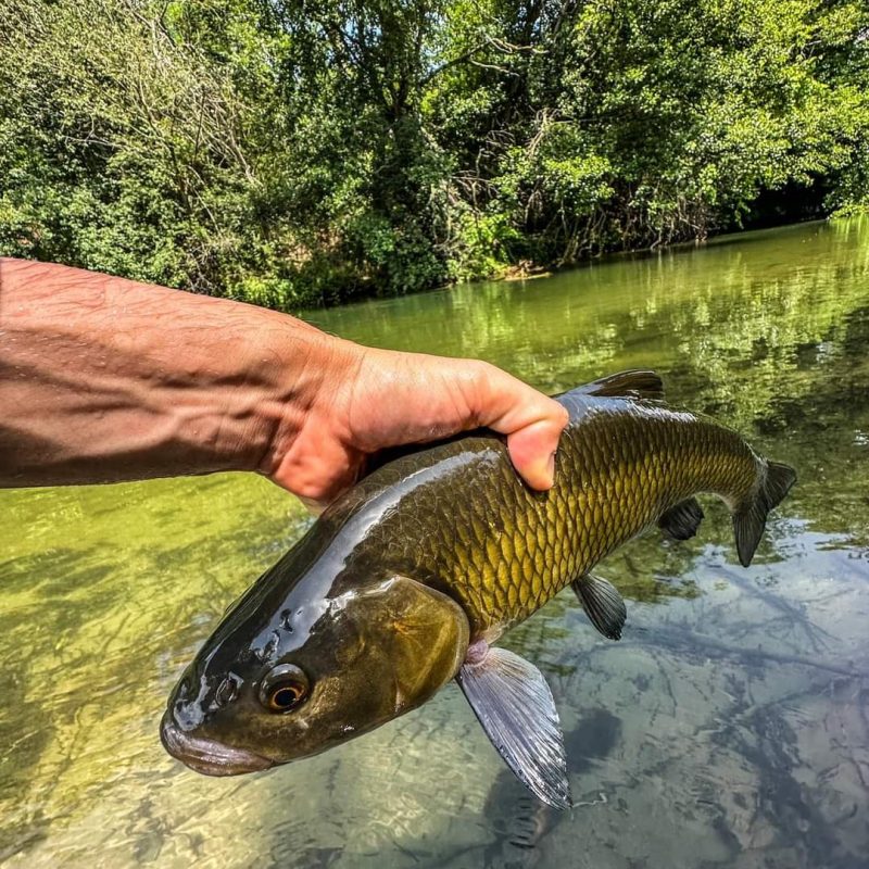 WhatsApp Image 2024-11-21 at 15.07.19 (1)