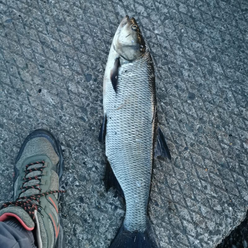 WhatsApp Image 2024-11-21 at 15.07.19 (2)