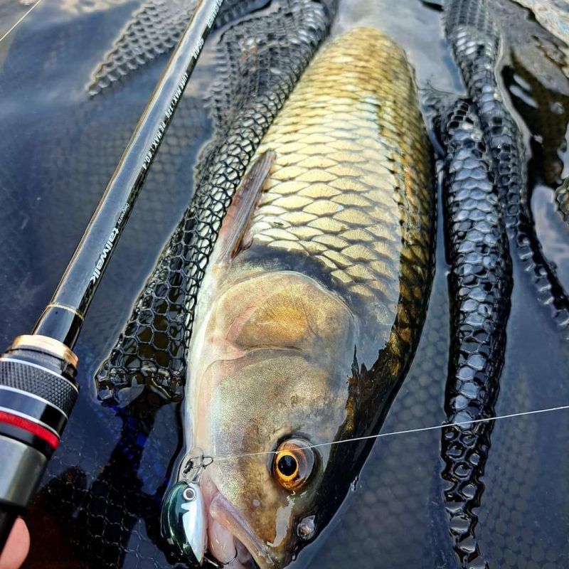 WhatsApp Image 2024-11-21 at 15.07.20 (1)